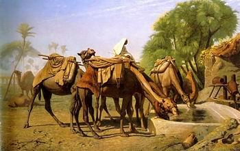 unknow artist Arab or Arabic people and life. Orientalism oil paintings  468